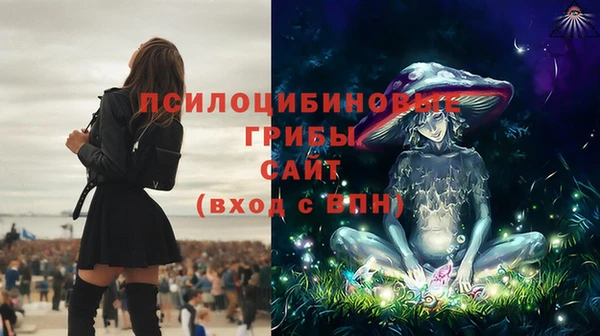 дживик Переславль-Залесский