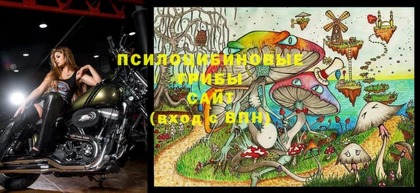 прущая мука Пересвет