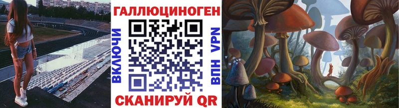 Псилоцибиновые грибы мицелий  Урус-Мартан 