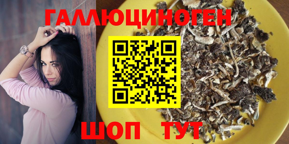 Урус-Мартан  Псилоцибиновые грибы мухоморы  Вход с VPN 